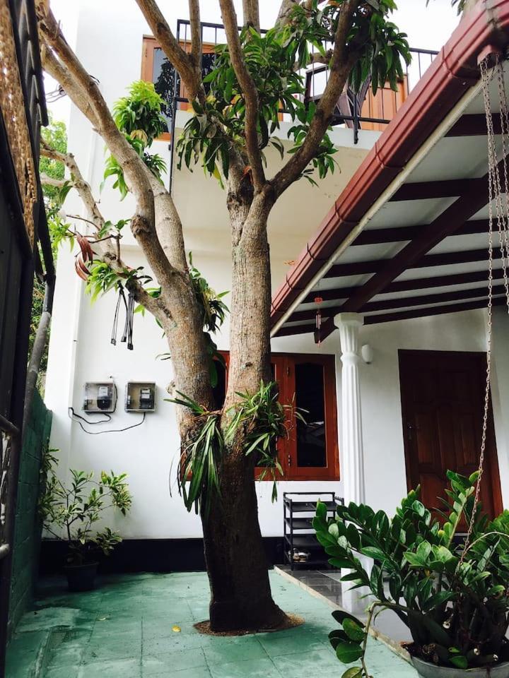 House Of Seya Bed and Breakfast Negombo Exteriör bild