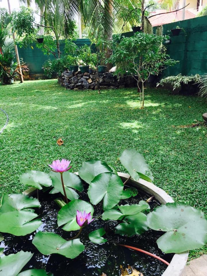 House Of Seya Bed and Breakfast Negombo Exteriör bild