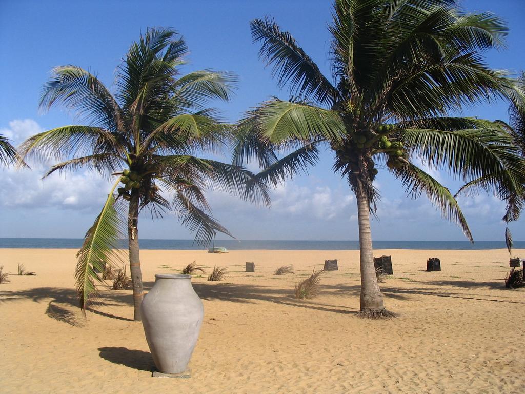House Of Seya Bed and Breakfast Negombo Exteriör bild