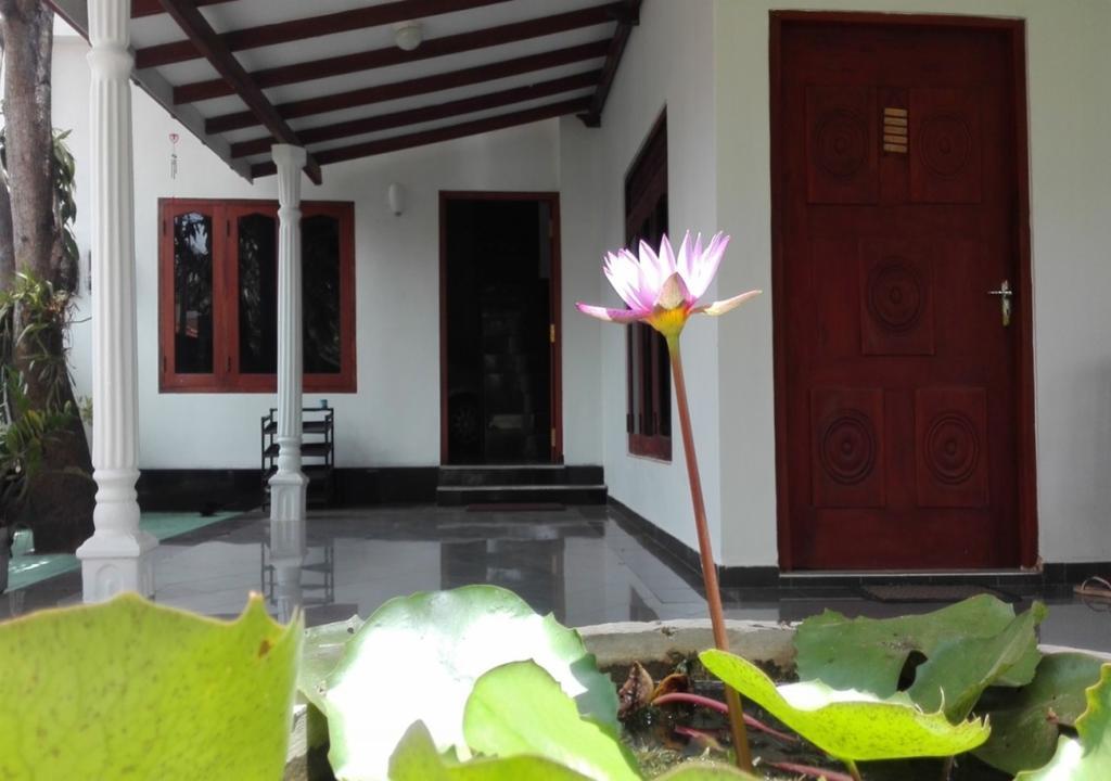 House Of Seya Bed and Breakfast Negombo Exteriör bild